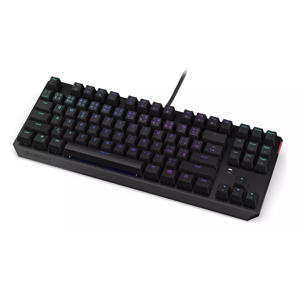 Obrázek produktu Endorfy Thock TKL Brown/Drátové USB-A/CZ layout/Černá