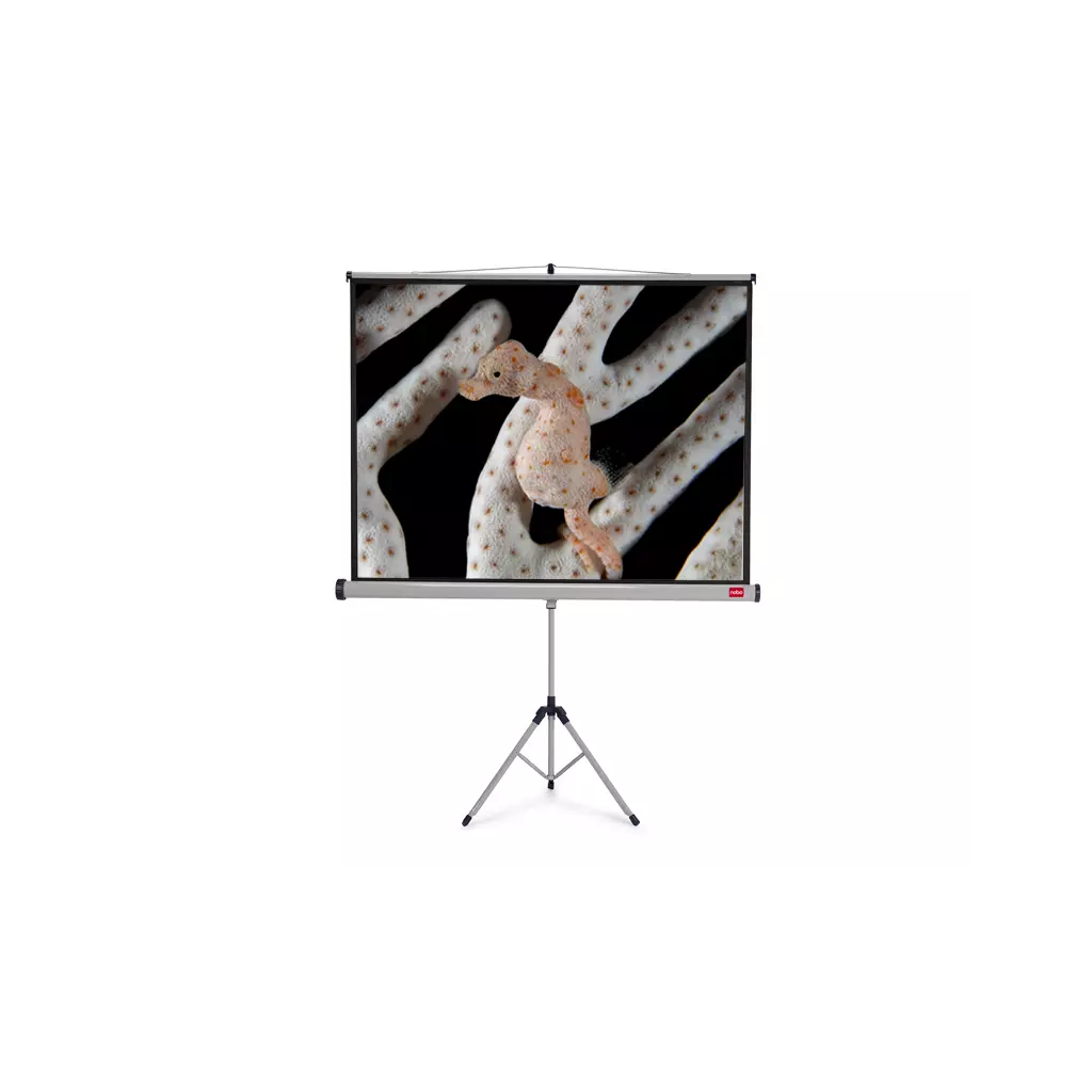 Obrázek produktu NOBO Tripod plátno š200 x v151 -matný bílý,4:3