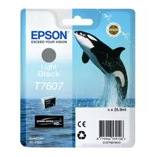 obrázek produktu Epson T7607 Ink Cartridge Light Black