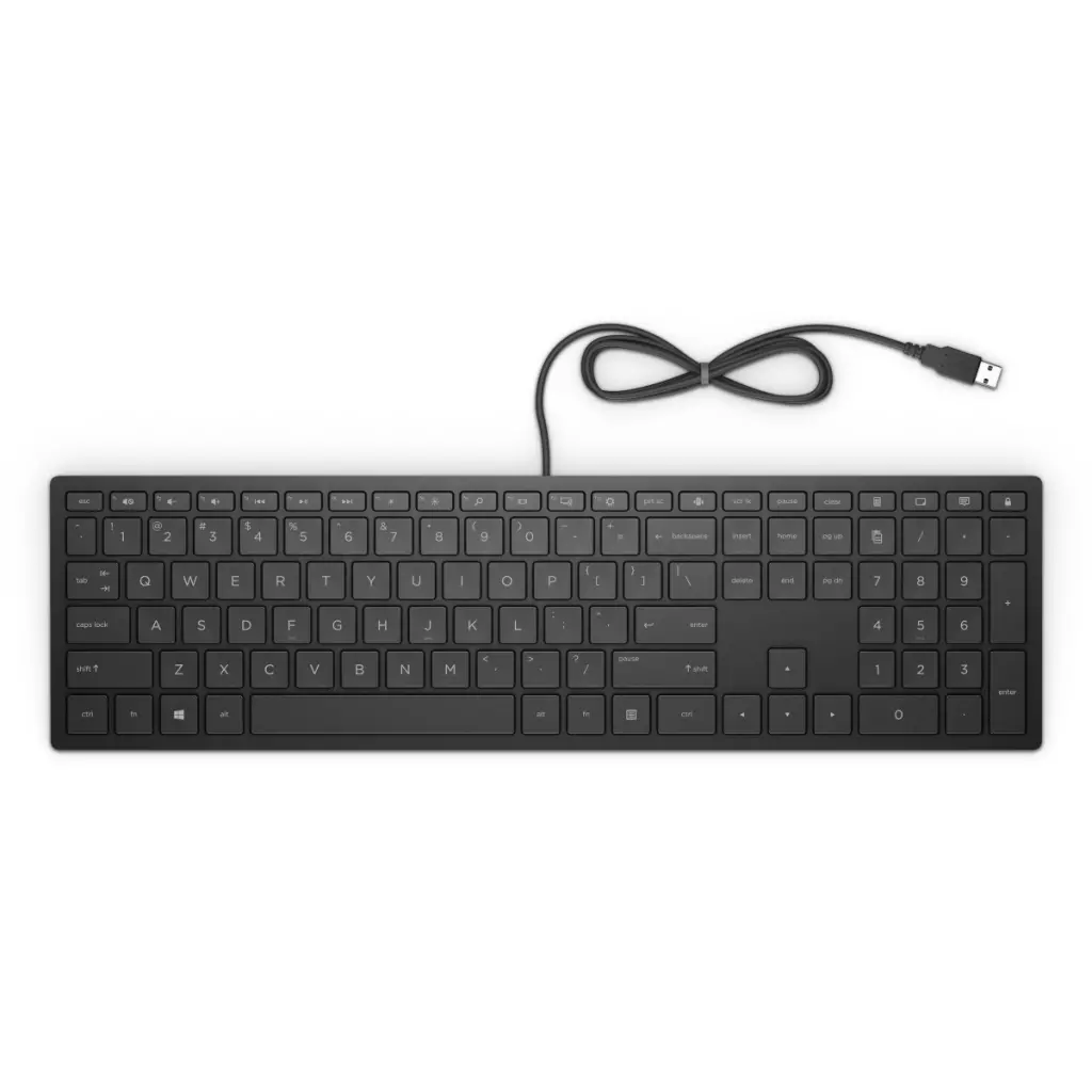 Obrázek produktu HP Pavilion Keyboard 300/Drátová USB/CZ layout/Černá